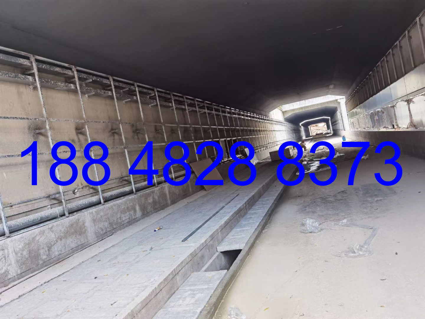 ������ר��